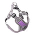 Breathable Soft Air Mesh Harnesses for Puppy